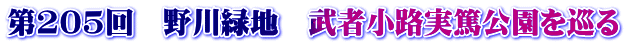 第205回　野川緑地　武者小路実篤公園を巡る