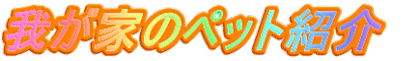 我が家のペット紹介　