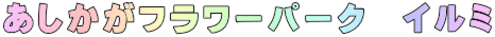 あしかがフラワーパーク　イルミ